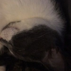 Meet your Posher, Ken